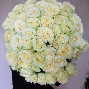 101 Белая роза Эквадор