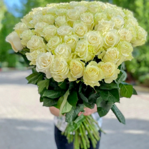 51 роза Эквадор